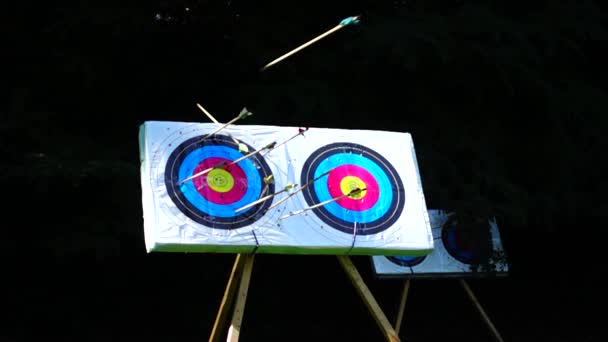 Archery Arrow Hit Target Slow Motion — Stock Video