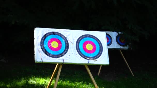 Archery Arrow Hit Target Slow Motion — Stock Video