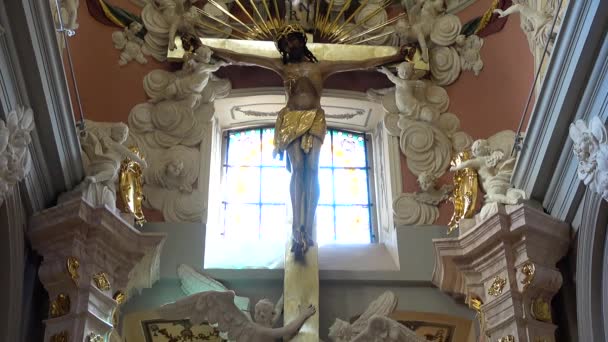 Tiro Catedral Católica Lviv Ucrania — Vídeo de stock