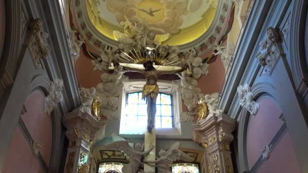 Shooting Catholic Cathedral Lviv Ukraine — Stock Video