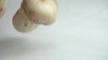 Şampiyon mantarları su sıçratır. Yavaş çekim.