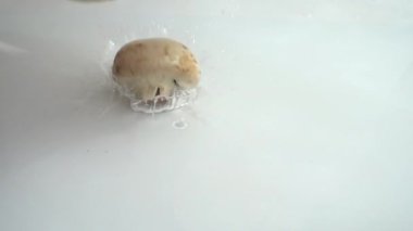 Şampiyon mantarları su sıçratır. Yavaş çekim.