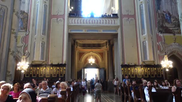 Lviv Ucrania Agosto 2019 Tiro Catedral Católica — Vídeos de Stock