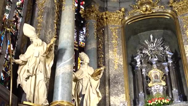 Schieten Van Katholieke Kathedraal Lviv Oekraïne — Stockvideo