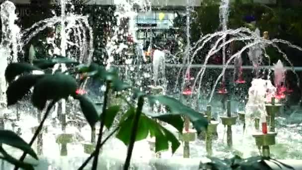 Lviv Oekraïne Augustus 2019 Fontein Onbekende Mensen Het Winkelcentrum Langzame — Stockvideo