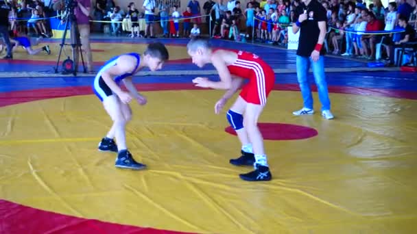 Berdyansk Ukraine 2018 Június Első Nyílt Ukrán Freestyle Birkózó Torna — Stock videók