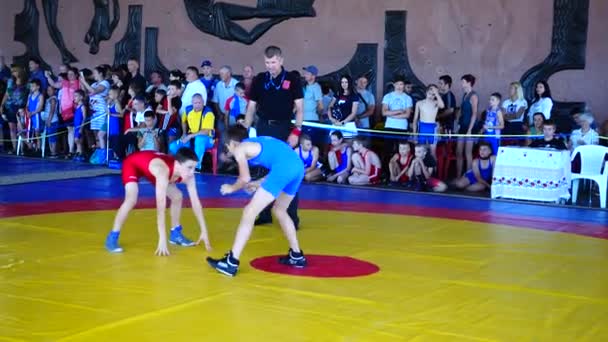 Berdyansk Ukraine 2018年6月12日 国際クラスのスポーツの巨匠ウラジーミルFedorenkoを記念して 最初のオープンウクライナのフリースタイルレスリングトーナメント — ストック動画