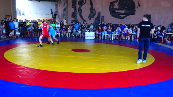 Berdyansk Ukraine Haziran 2018 Uluslararası Spor Sınıfı Vladimir Fedorenko Nun — Stok video