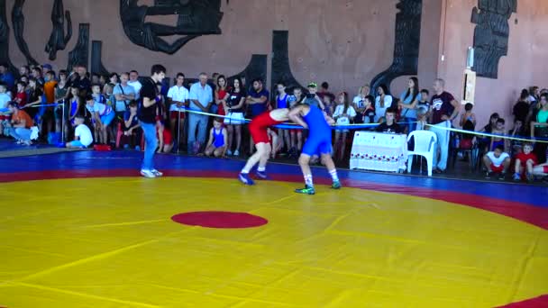 Berdyansk Ukraine Iunie 2018 Primul Turneu Wrestling Freestyle Din Ucraina — Videoclip de stoc