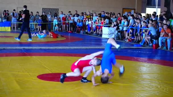 Berdyansk Ukraine Juni 2018 Eerste Open All Oekraïense Freestyle Worsteltoernooi — Stockvideo