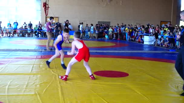 Berdyansk Ukraine Juni 2018 Eerste Open All Oekraïense Freestyle Worsteltoernooi — Stockvideo