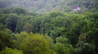 Bahar yağmuru. Yavaş çekim.