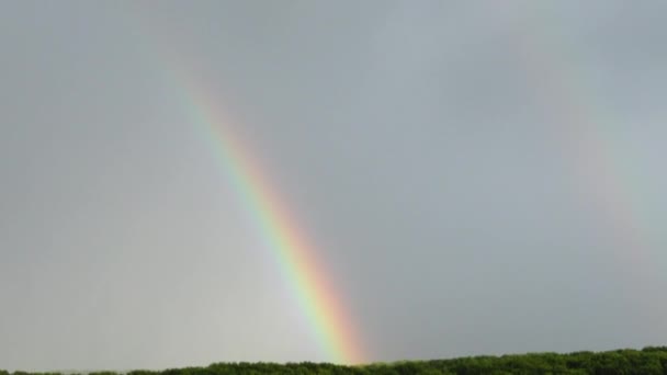 雨の後の空の虹 — ストック動画