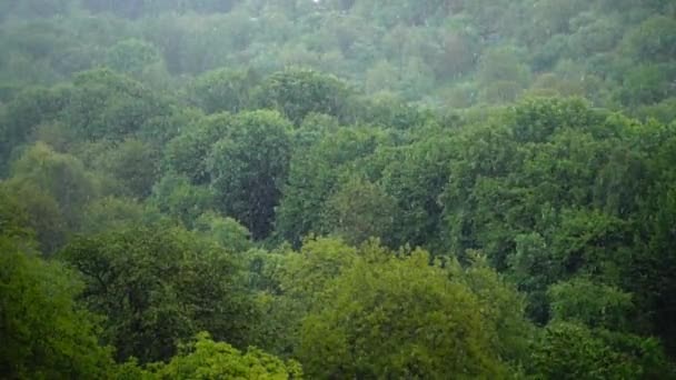 Printemps Mai pluie. Mouvement lent .