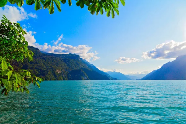 İsviçre 'nin İsviçre Alplerinde gün batımında Brienz Gölü