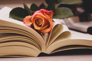 Rose flower over open book with hearth shape page clipart