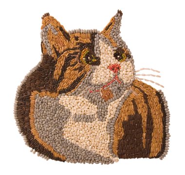 Pilav yapılan kedi ve beyaz arka plan üzerinde izole buğday