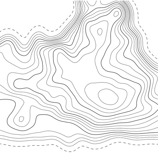 Carte Topographique Arrière Plan Carte Grille Illustration Vectorielle Abstraite — Image vectorielle
