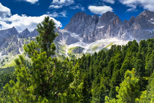 Vista Floresta Verão Contra Pano Fundo Das Montanhas Nos Alpes — Fotografia de Stock