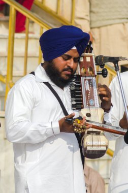 Amritsar, Hindistan - 21 Kasım 2011: Altın Tapınak kompleksindeki Sikh müzisyenler, Amritsar, Punjab, Hindistan.