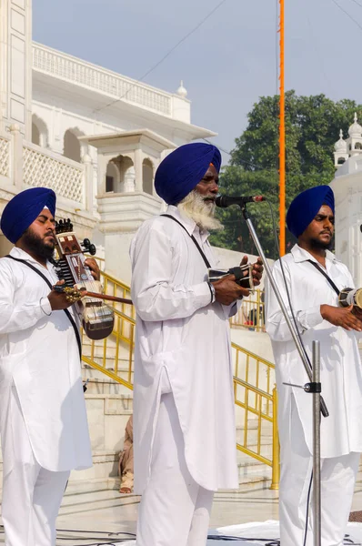 Amritsar India Noviembre 2011 Músicos Sij Complejo Golden Temple Amritsar —  Fotos de Stock