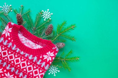 En iyi manzara süveteri, koniler, kar taneleri ve yeşil arka planda Noel ağacı dalları. Düz yat ve boşluğu kopyala.