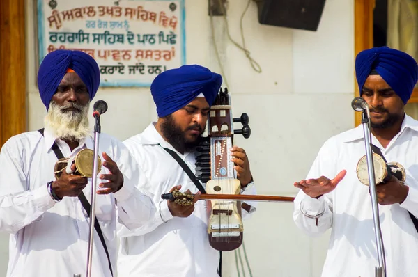 Amritsar India Noviembre 2011 Músicos Sij Complejo Golden Temple Amritsar —  Fotos de Stock