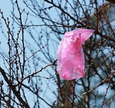 Dallara asılı pembe çöp torbası, doğal arka plan, ekoloji, yatay,