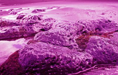 Okyanustaki volkanik taşlar mor bir tonda