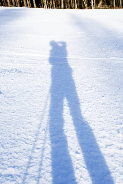 Тінь Скієра Снігу Гірськолижний Курорт Австрії Тренінгів Спортсменів — стокове фото