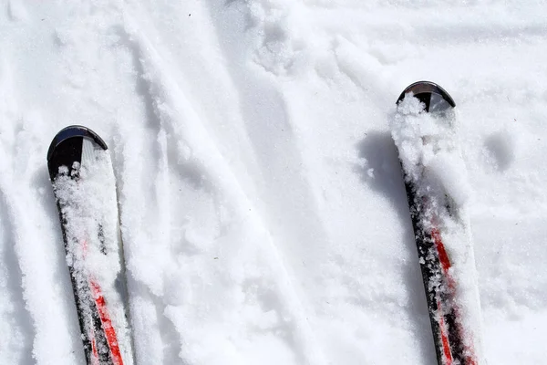 Лыжи Влажном Снегу — стоковое фото