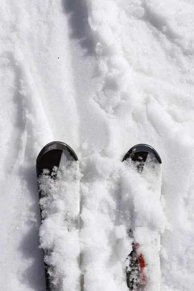 Sciare Sulla Neve Bagnata — Foto Stock