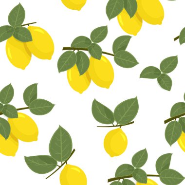 Kusursuz turunçgil deseni.