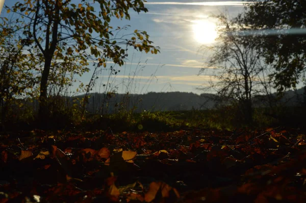 Landschaft Sonnigen Herbst — Stockfoto