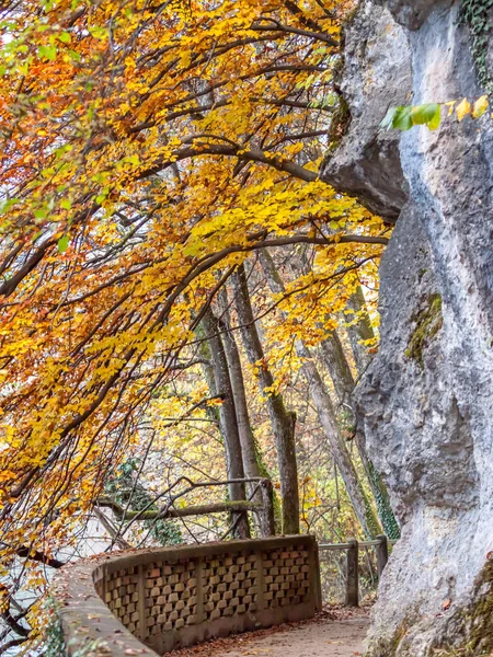 Hösten park stig längs flodstranden — Stockfoto