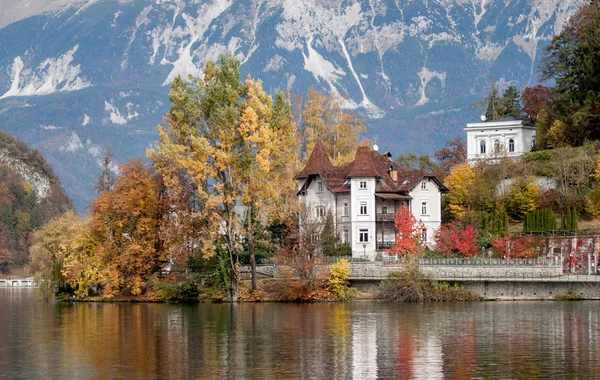 Lake Bled beautiful view — Stock Photo, Image