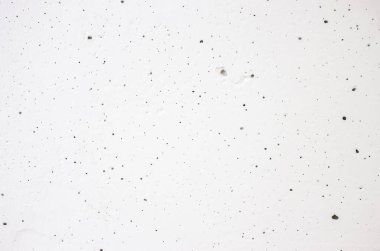 beyaz beton duvar dokusu