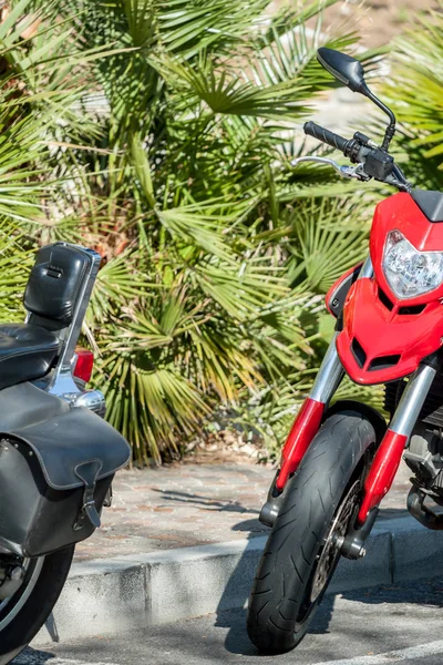 Czerwony motocykl zaparkowany na tle zielonych Palm — Zdjęcie stockowe