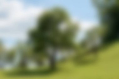 arka plan bulanık tarım alanı ve ağaçları ile