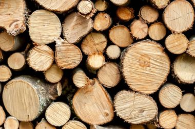 ahşap günlükleri kesim arka plan