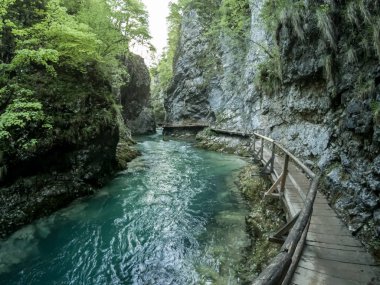 Vintgar Kanyonu su akışı kayalar arasında