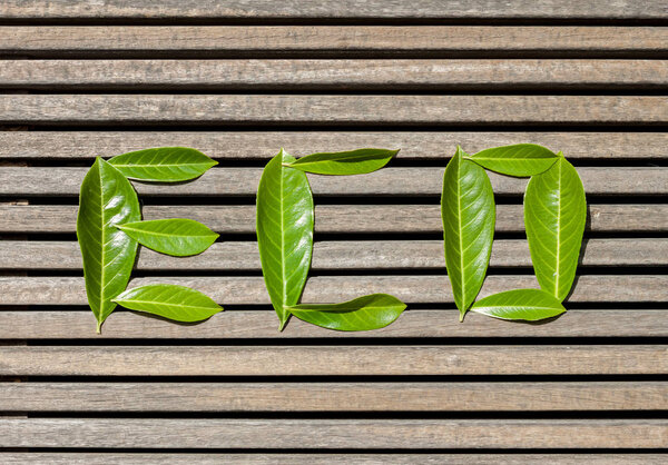 eco word composed of green leaves