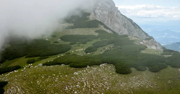 Collina verde della montagna — Foto Stock