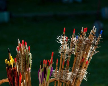 Okçuluk için portre renkli oklar