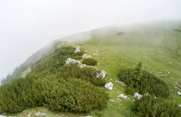 Schöne neblige Berglandschaft — Stockfoto