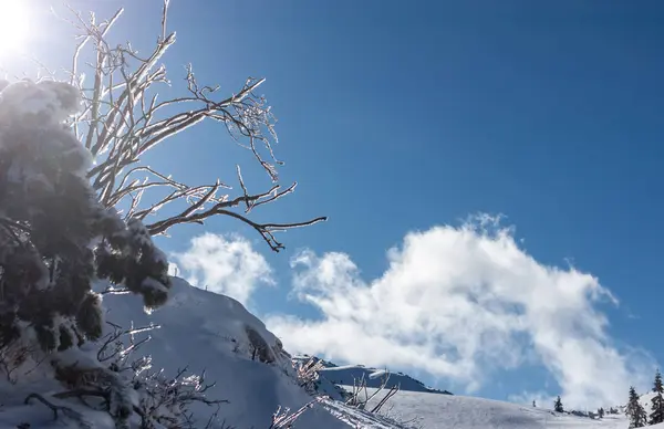 Zimowy ośrodek narciarski w Alpach — Zdjęcie stockowe