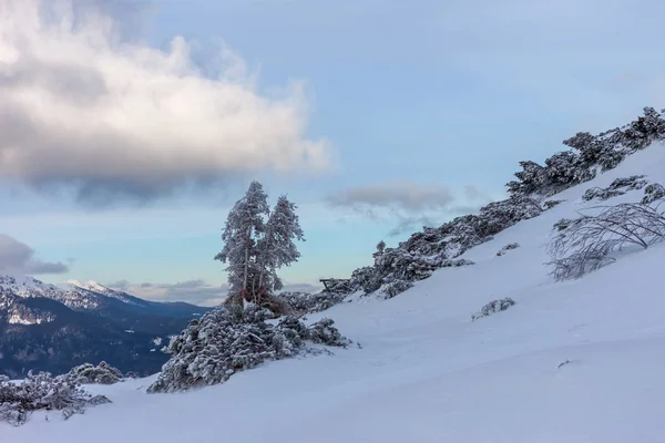 Montañas de invierno de Eslovenia hermoso paisaje puesta del sol —  Fotos de Stock