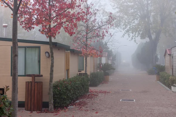 foggy street among camp houses
