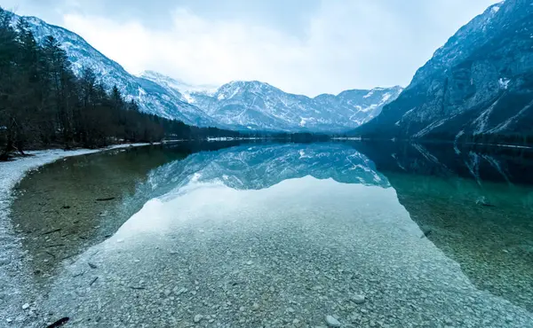 Θέα στη λίμνη Bohinj χειμώνα με αντανάκλαση — Φωτογραφία Αρχείου