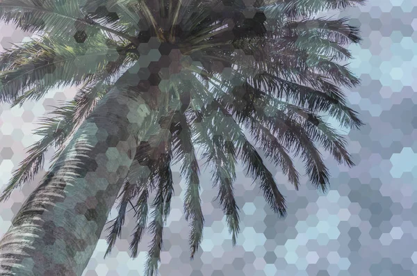 Hexagon abstrakt månghörnigt textur över bild av Palm — Stockfoto